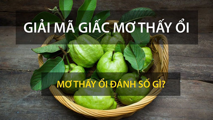 Mơ thấy quả ổi nên đánh số gì?